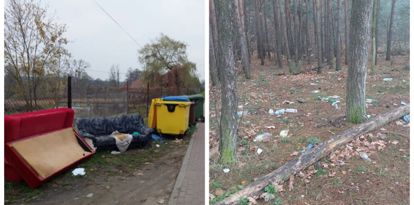 fot. UM Golub-Dobrzyń
