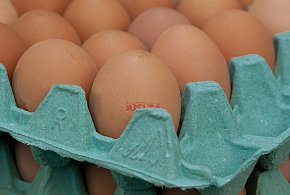 Salmonella na jajach znanej marki. Nie jedz, jeśli masz je w lodówce!-9163