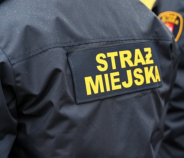 Zapuka strażnik, zapłacisz karę. Ruszyły kontrole w całej Polsce-9762
